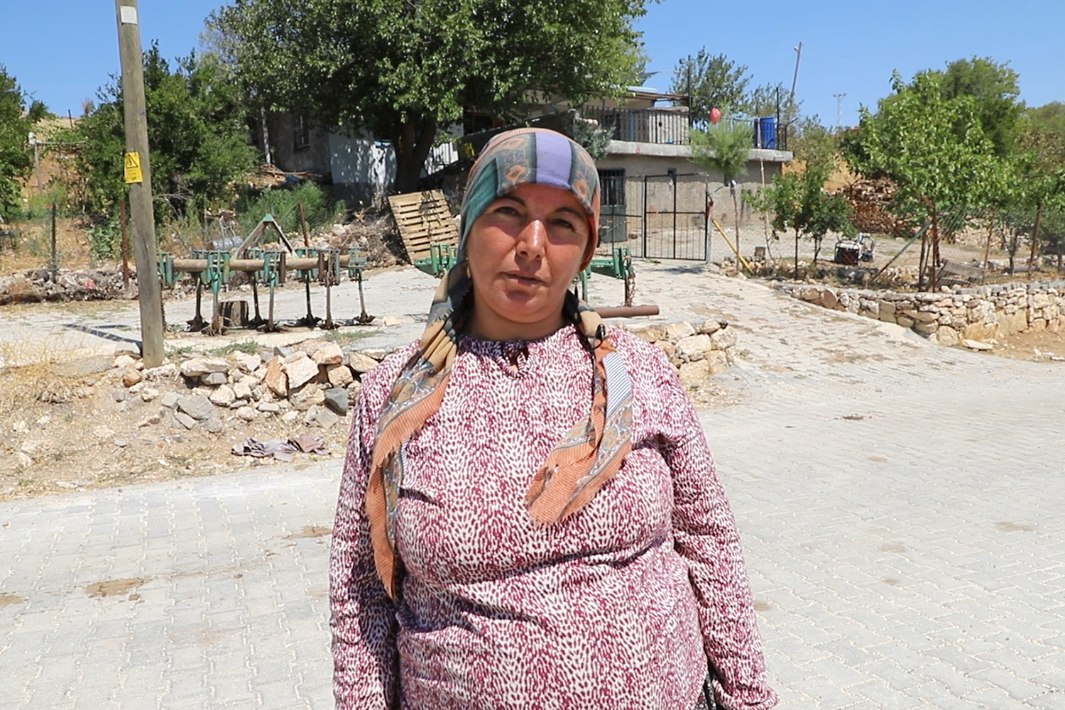 Gz R6Q Fe Xo A Ap N S L