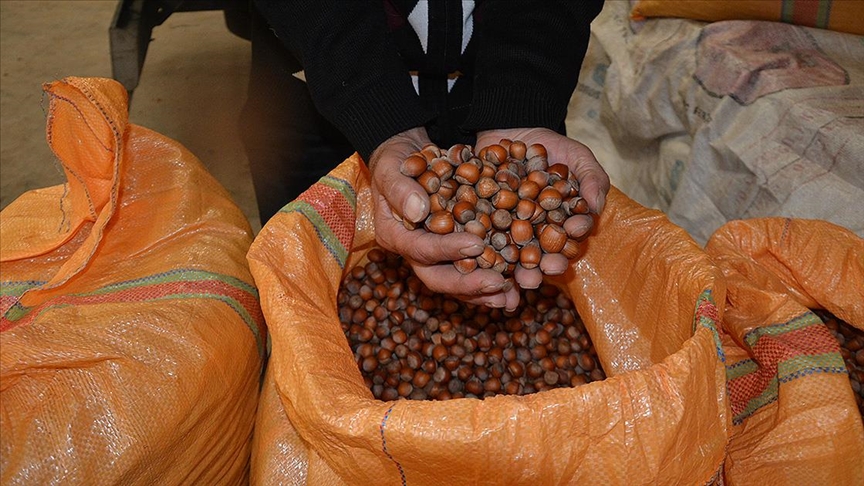 Thumbs B C 43Cad0E11572E6C8B3610C25Cca3B44B