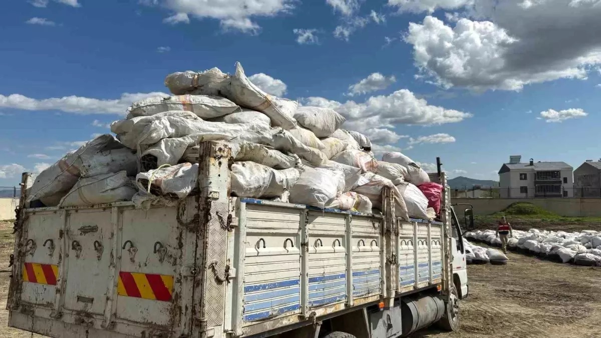 Whatsapp Image 2025 08 11 At 15.16.37 (1)