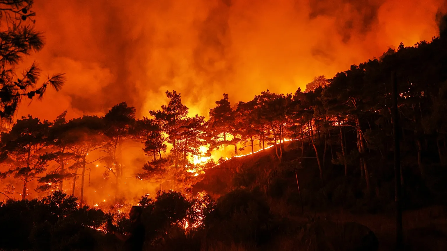 1536X864 Cmsv2 0106D19B 2E7B 5313 803F 96Eeb9F669B2 9363159