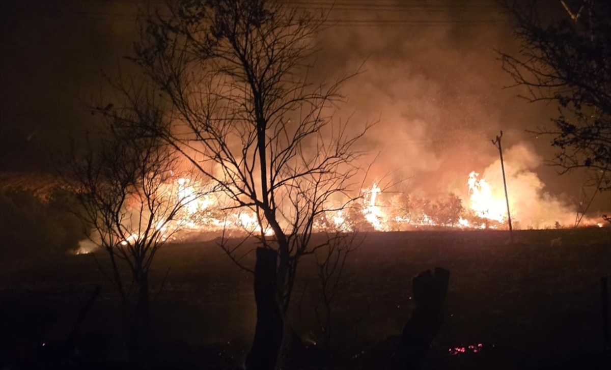 A A 20250903 39012993 39012991 E L A Z I G K I R S A L I N D A C I K A N Y A N G I N A M U D A H A L E E D I L I Y O R