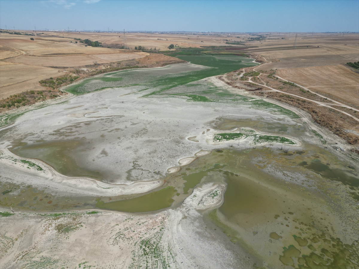 A A 20250911 39080793 39080788 T E K I R D A G D A K I T U R K M E N L I G O L E T I N D E S U S E V I Y E S I Y U Z D E 2 N I N A L T I N A D U S T U