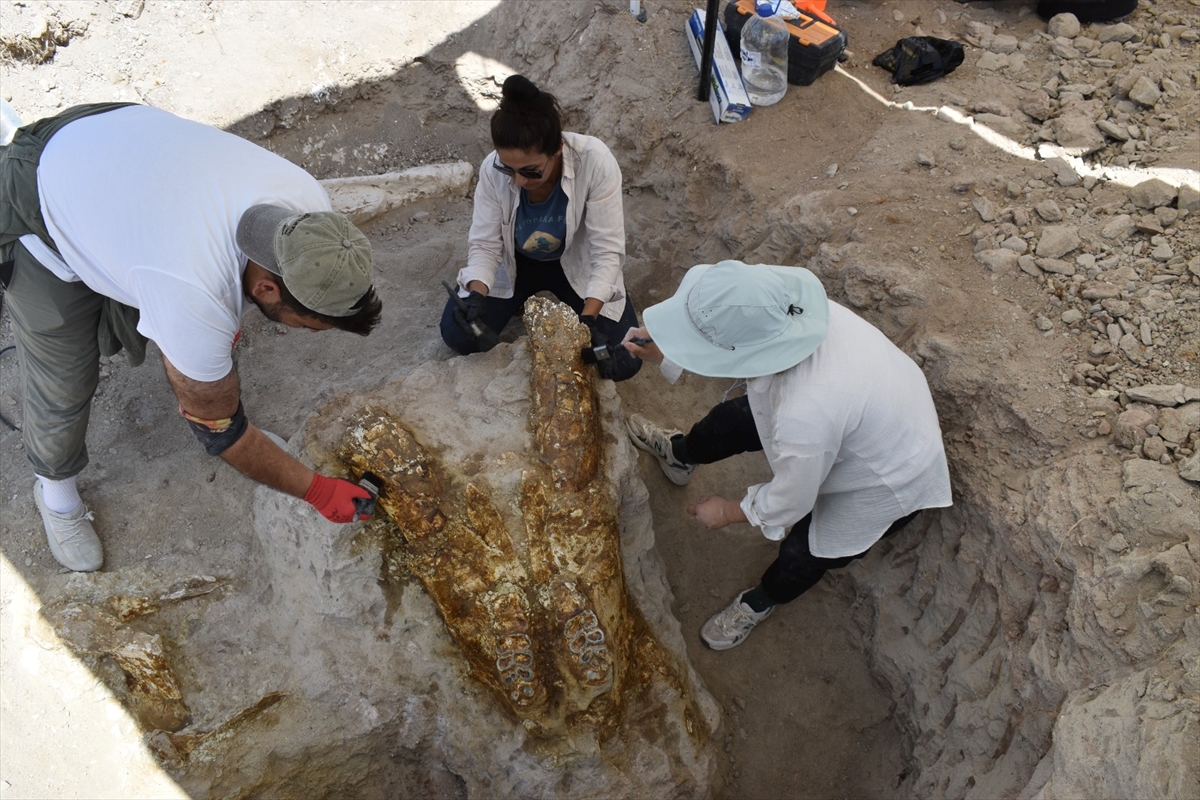 A A 20250911 39081523 39081519 K A Y S E R I D E 77 M I L Y O N Y I L L I K 3 F I L K A F A T A S I B U L U N D U