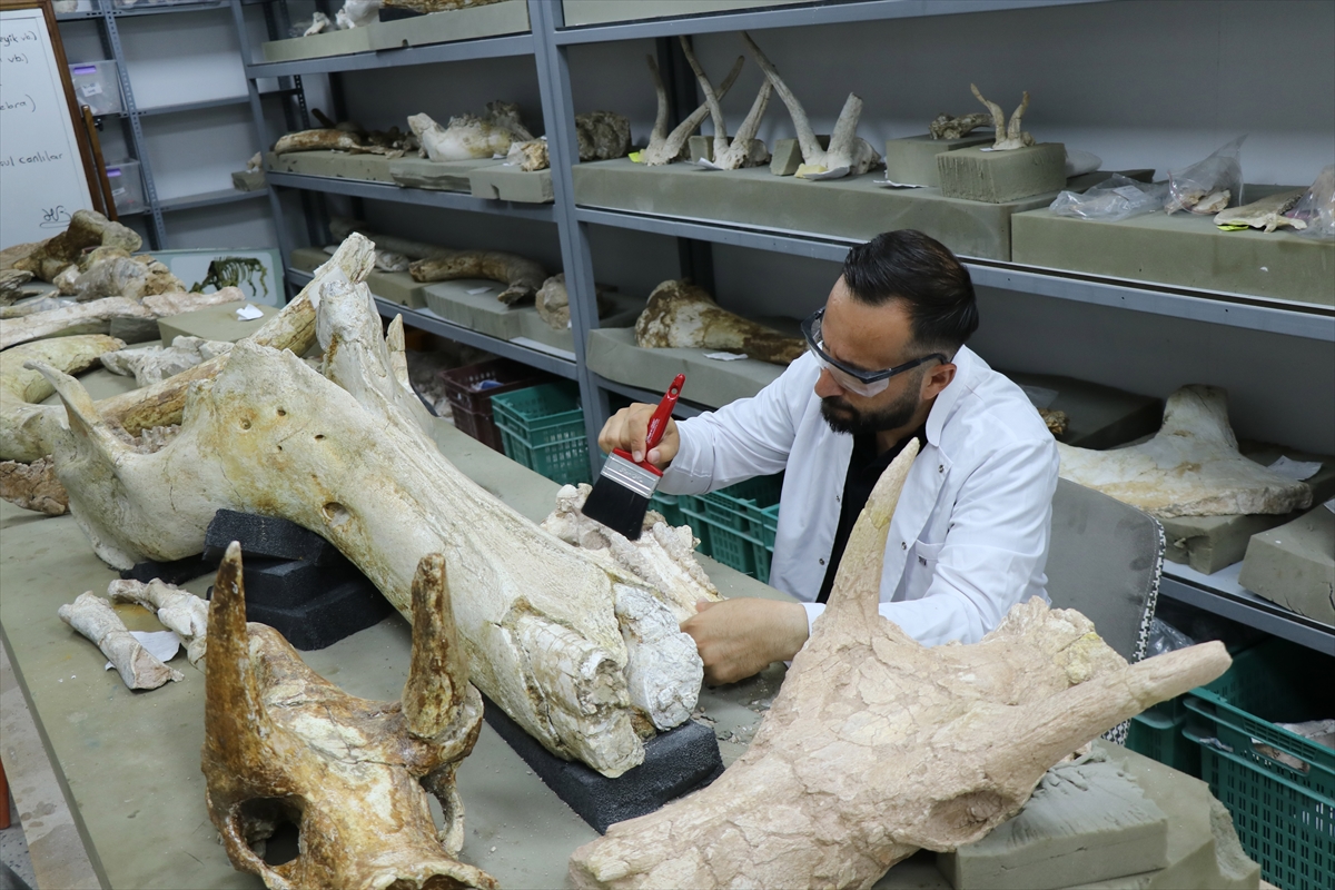 A A 20250911 39081523 39081521 K A Y S E R I D E 77 M I L Y O N Y I L L I K 3 F I L K A F A T A S I B U L U N D U