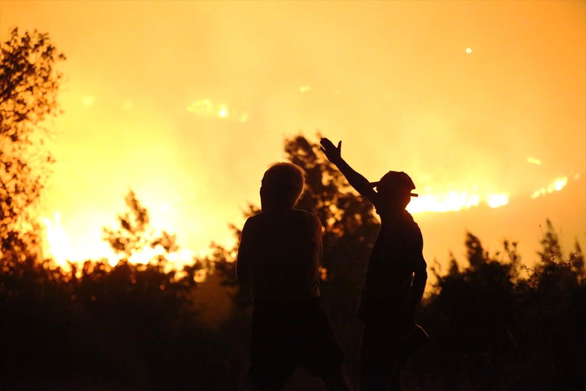 A A 20250918 39157716 39157712 A N T A L Y A N I N A L A N Y A I L C E S I N D E O R M A N L I K A L A N D A Y A N G I N C I K T I-1