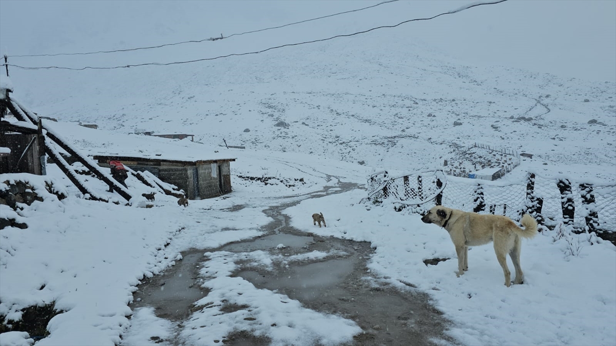 A A 20250919 39158399 39158390 R I Z E D E Y U K S E K K E S I M L E R E K A R Y A G D I