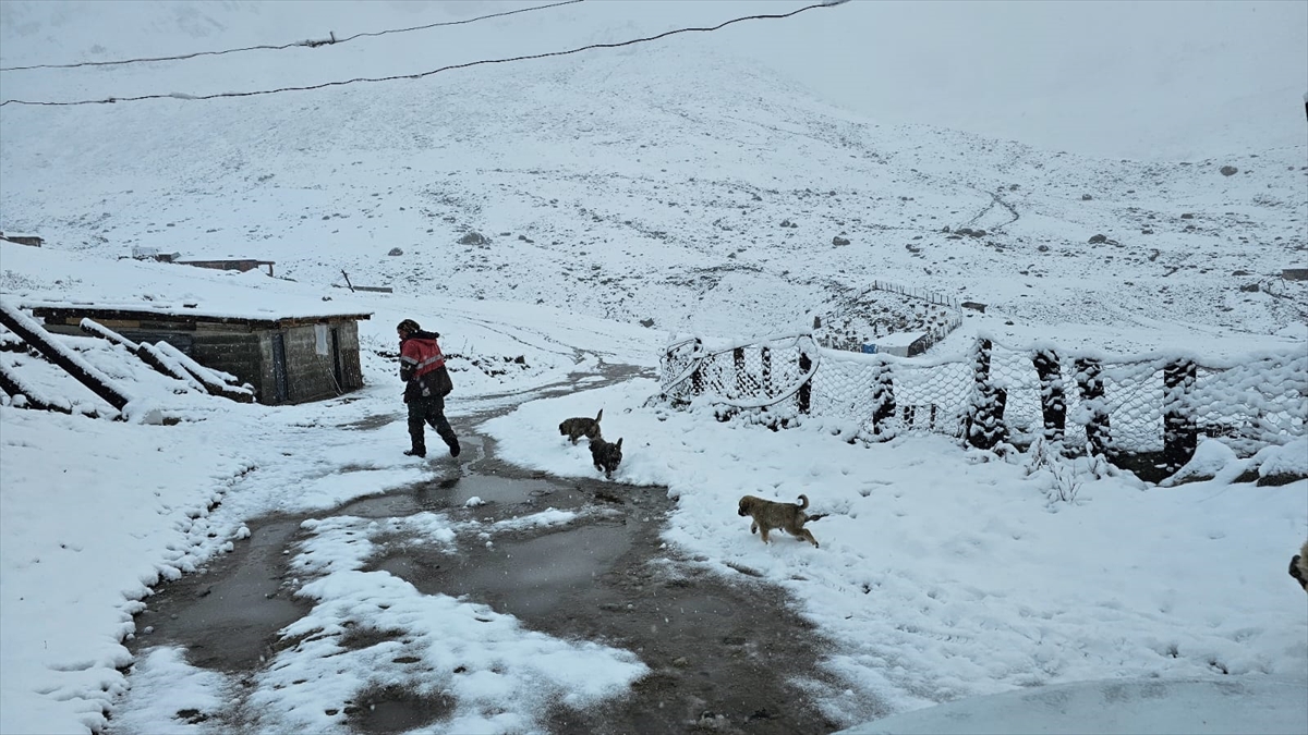 A A 20250919 39158399 39158391 R I Z E D E Y U K S E K K E S I M L E R E K A R Y A G D I