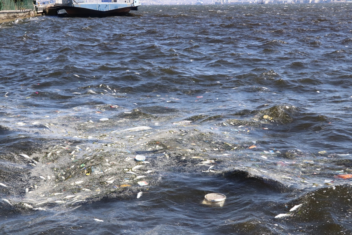 A A 20250919 39163259 39163253 I Z M I R K O R F E Z I N D E B A L I K O L U M L E R I S U R U Y O R