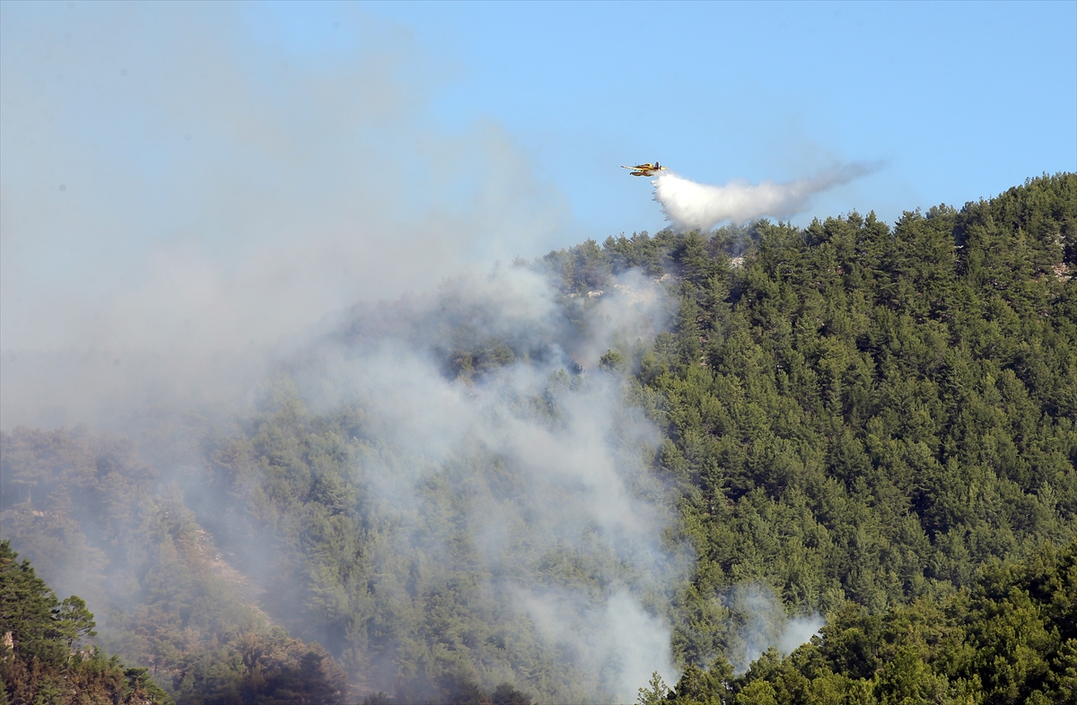 A A 20250920 39170350 39170345 K O Y C E G I Z D E C I K A N O R M A N Y A N G I N I N A M U D A H A L E S U R U Y O R