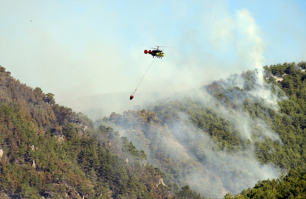 A A 20250920 39170350 39170349 K O Y C E G I Z D E C I K A N O R M A N Y A N G I N I N A M U D A H A L E S U R U Y O R