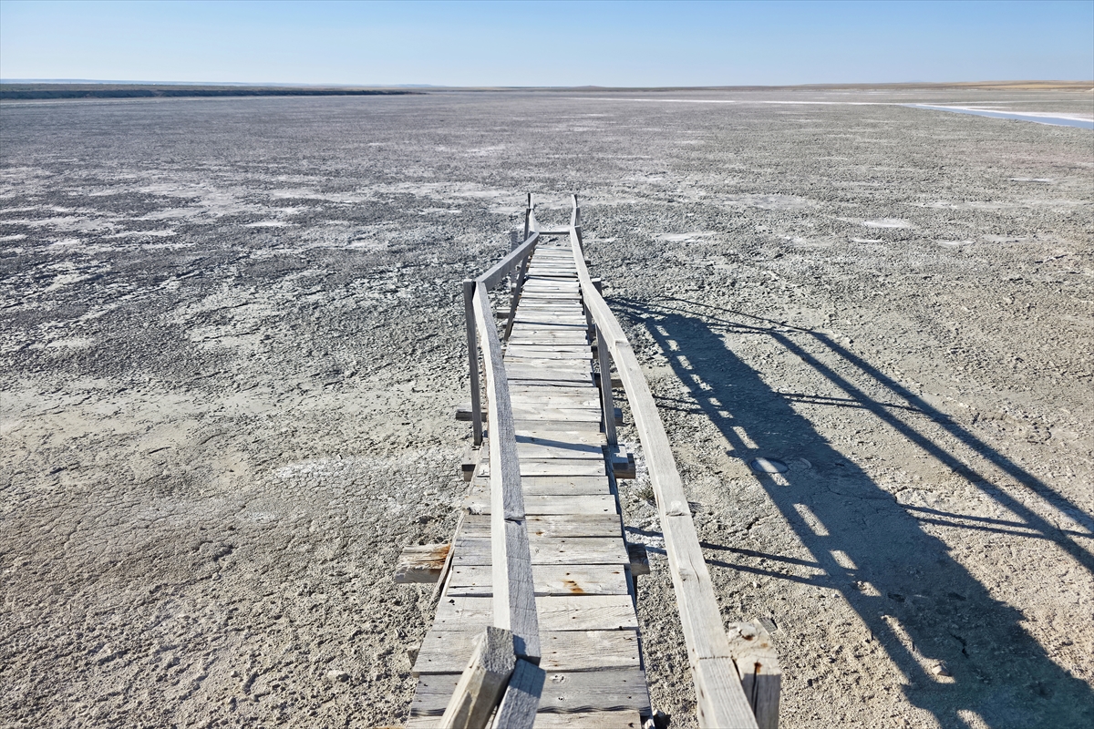 A A 20250920 39170527 39170517 K O N Y A D A K U R U Y A N T E R S A K A N V E B O L L U K G O L U N D E N G E R I Y E T U Z T A B A K A S I K A L D I