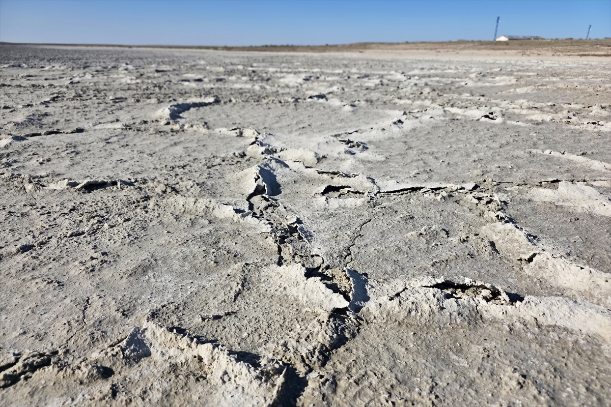 A A 20250920 39170527 39170524 K O N Y A D A K U R U Y A N T E R S A K A N V E B O L L U K G O L U N D E N G E R I Y E T U Z T A B A K A S I K A L D I