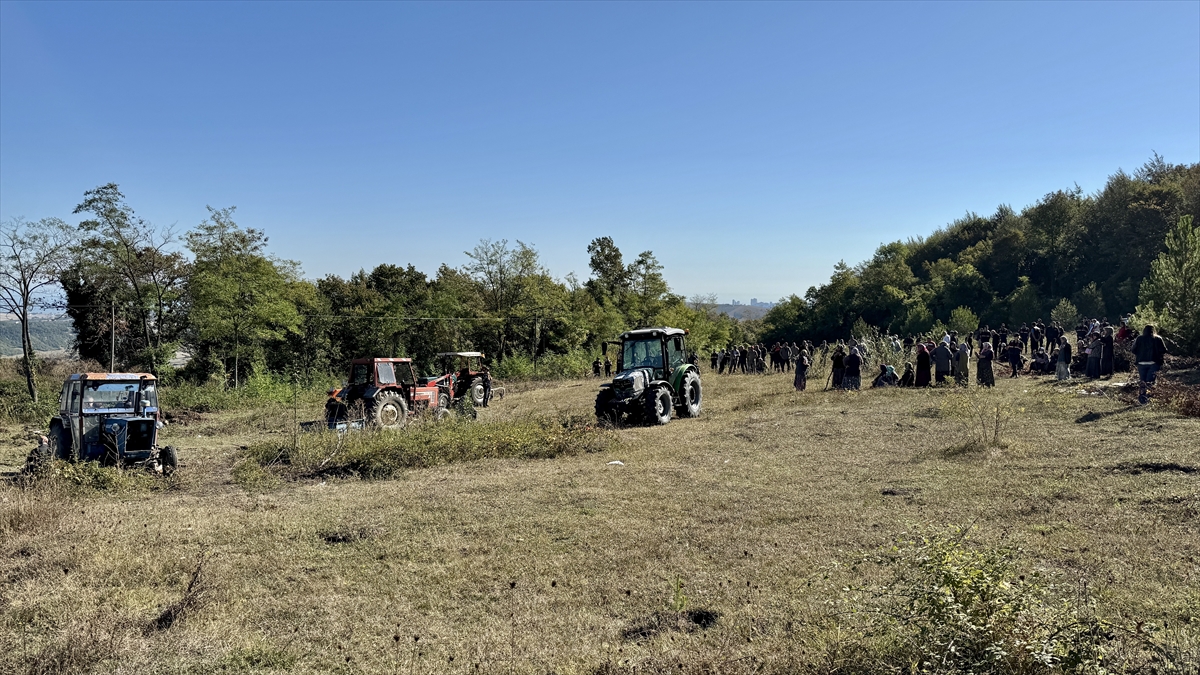 A A 20250923 39200541 39200536 S A M S U N D A H A Y V A N B A R I N A G I N A K A R S I C I K A N M A H A L L E S A K I N L E R I E Y L E M Y A P T I