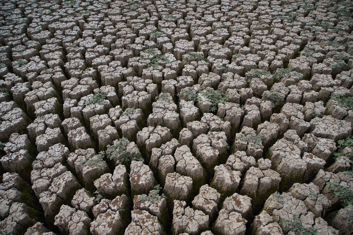 A A 20250927 39238594 39238590 E D I R N E D E K I S E R B E T T A R G O L E T I K U R A K L I K N E D E N I Y L E T A M A M E N K U R U D U