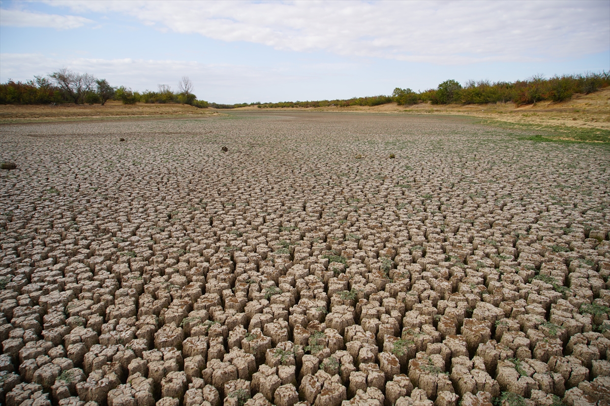 A A 20250927 39238594 39238591 E D I R N E D E K I S E R B E T T A R G O L E T I K U R A K L I K N E D E N I Y L E T A M A M E N K U R U D U