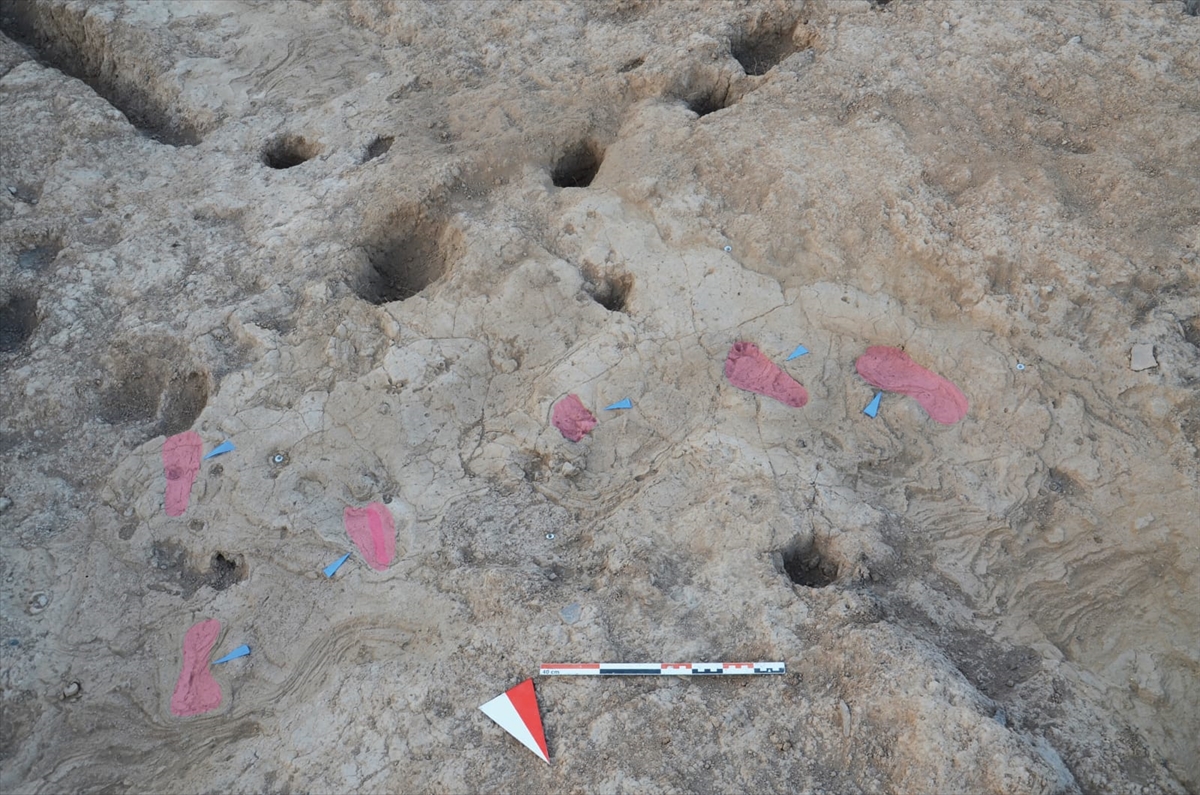 A A 20250930 39263499 39263496 H A T A Y D A K I T E L L K U R D U H O Y U K T E 7 B I N Y I L L I K I N S A N A Y A K I Z L E R I B U L U N D U