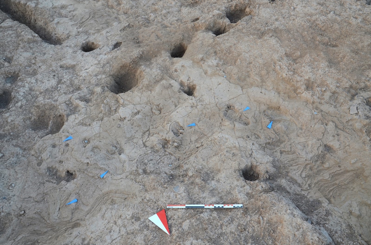 A A 20250930 39263499 39263498 H A T A Y D A K I T E L L K U R D U H O Y U K T E 7 B I N Y I L L I K I N S A N A Y A K I Z L E R I B U L U N D U