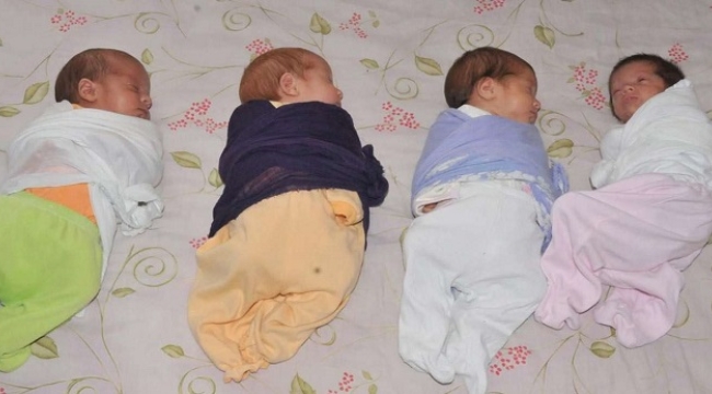 En Yuksek Dogurganlik Hizi Sanliurfa Da M