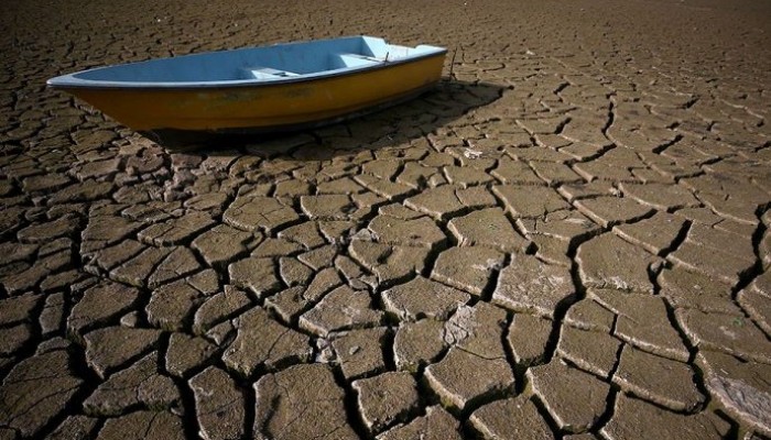 Img 4376 1152021134413