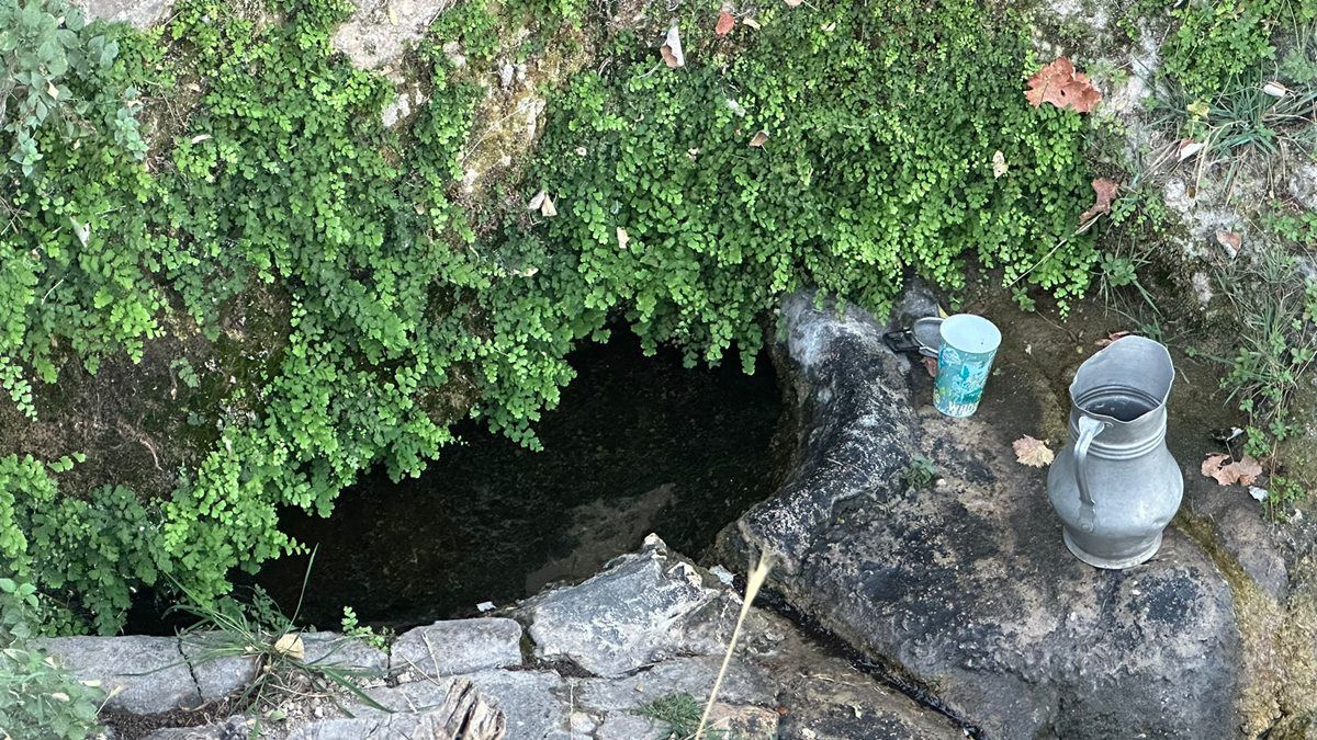 Whatsapp Image 2025 09 11 At 4.36.49 Pm