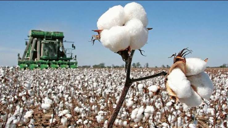 03032024110609 77841 17831