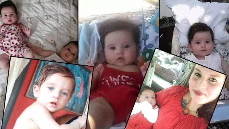 1731565891839 1731405752349 Izmiryangindevlet