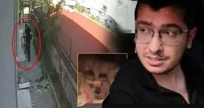 650X344 Son Dakika Vicdansiz Doktor Davasinda Karar Cikti Sahiplendigi Kopekleri Oldurup Posetlerle Tasimisti 1760703300289