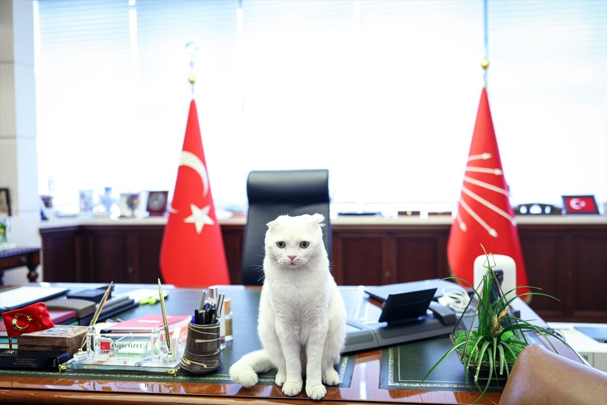 A A 20251004 39307288 39307286 C H P G E N E L B A S K A N I O Z E L D E N 4 E K I M D U N Y A H A Y V A N L A R I K O R U M A G U N U P A Y L A S I M I