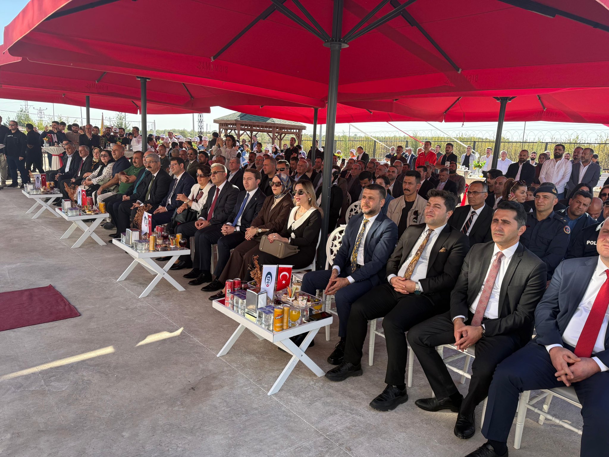 G3E Ye Ja X Y A A A8Qk