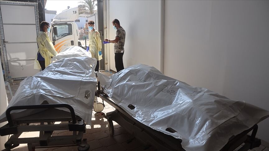 Thumbs B C 7A3F91C890D3F654Dc999Ebfb7E174B8