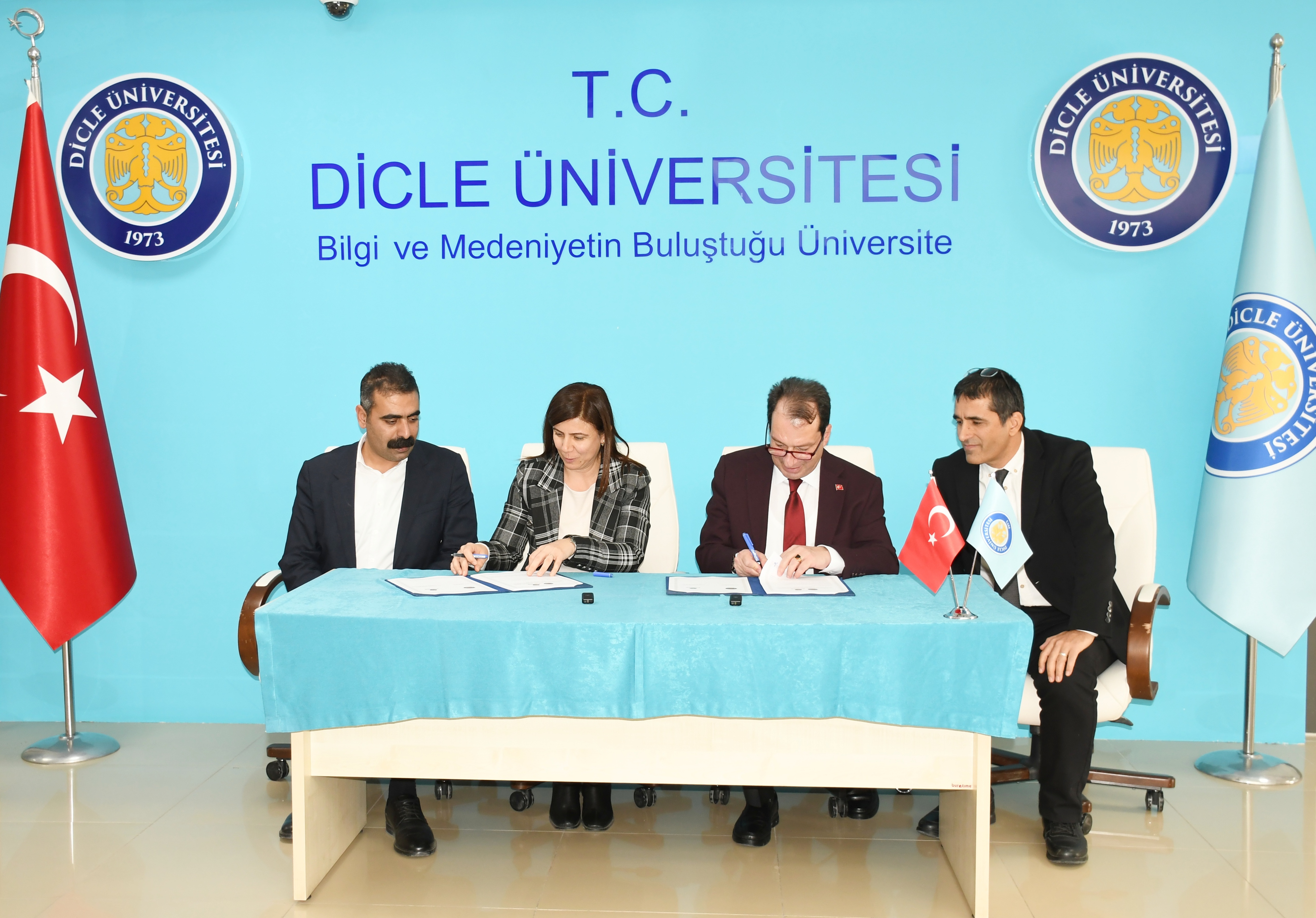 7Ee69018D8F04Df39E45A41B3Bbe7347 D S C 6246