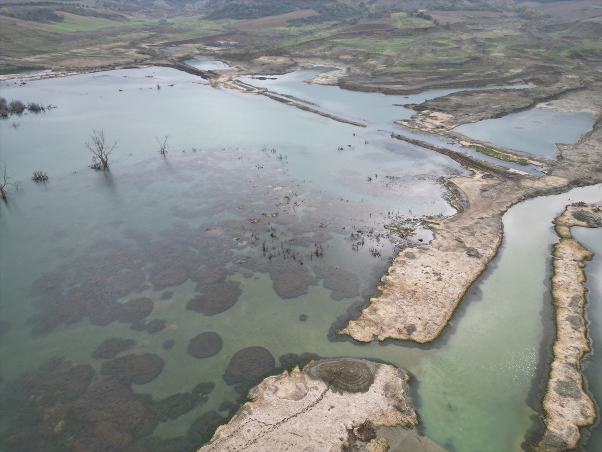 A A 20251108 39649578 39649567 T E K I R D A G D A B A R A J L A R D A K I S U S E V I Y E S I A Z A L M A Y A D E V A M E D I Y O R