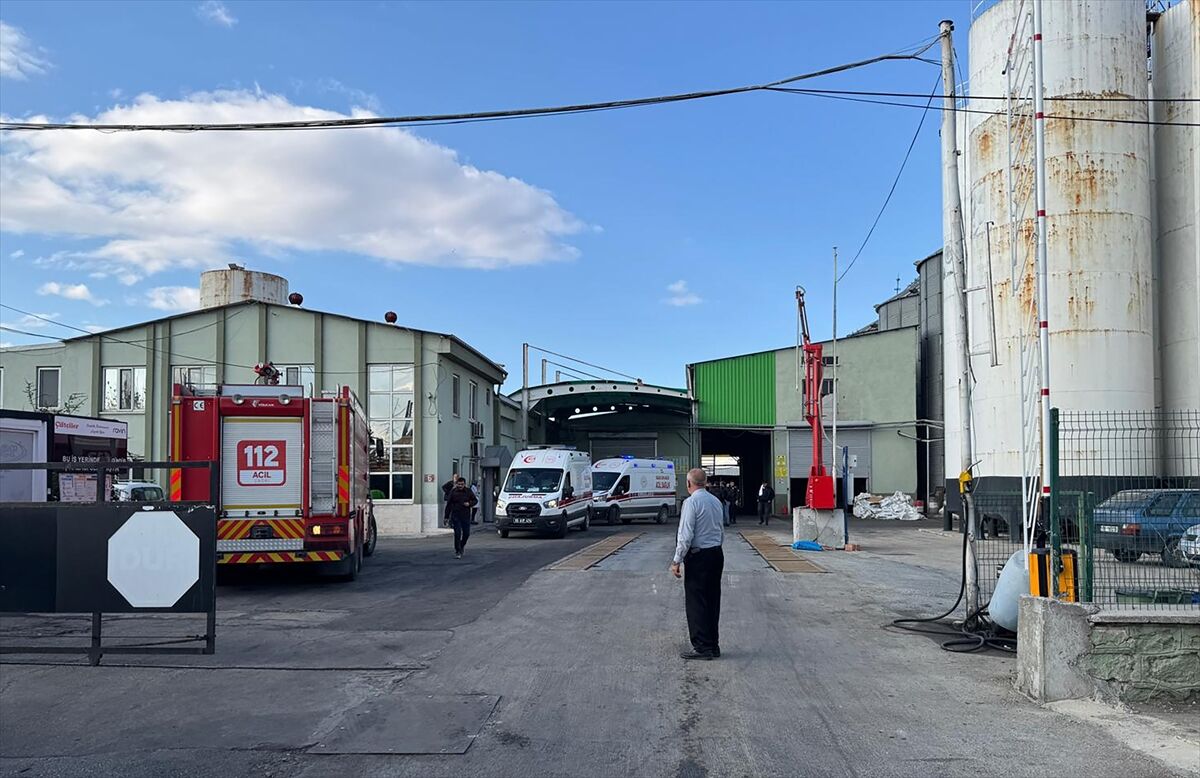 A A 20251112 39690712 39690710 A F Y O N K A R A H I S A R D A F A B R I K A D A K I P A T L A M A D A 10 K I S I Y A R A L A N D I