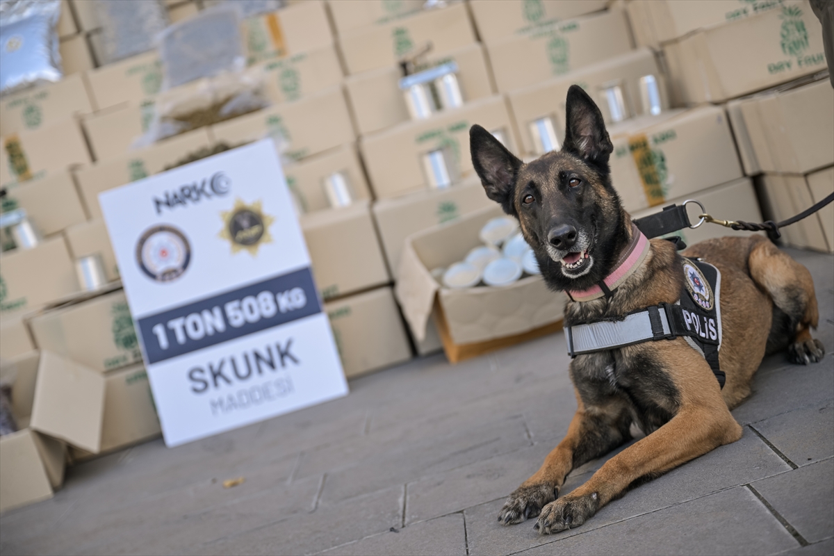 A A 20251114 39708310 39708308 D E R I N C E L I M A N I N D A 1 T O N 508 K I L O G R A M U Y U S T U R U C U E L E G E C I R I L D I 5 S U P H E L I Y A K A L A N D I