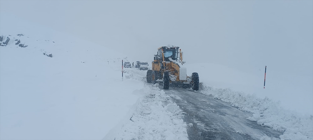 A A 20251117 39727660 39727659 H A K K A R I V E M U S T A K A P A N A N 44 Y E R L E S I M Y E R I N I N Y O L U U L A S I M A A C I L D I