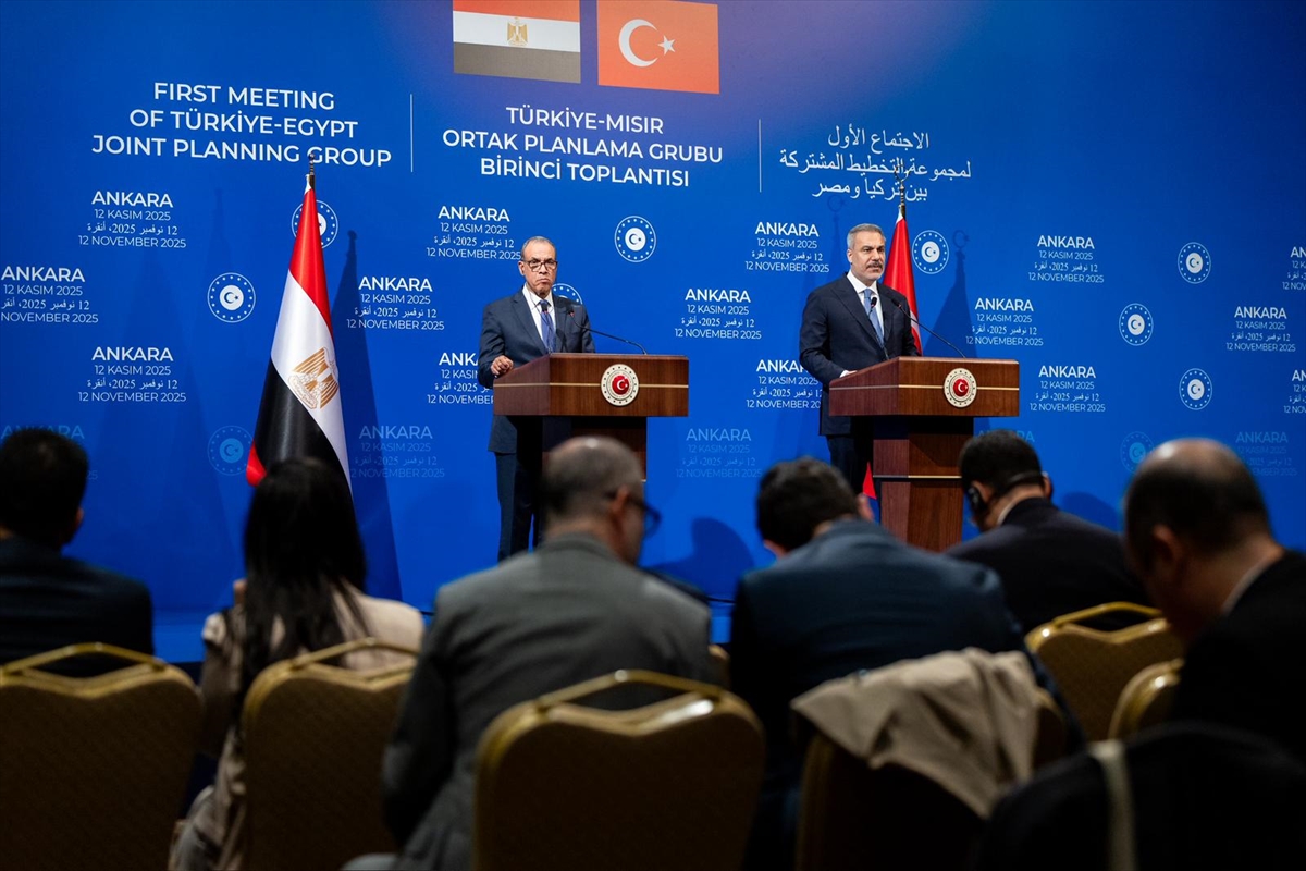 Fidan Mısır 12Kasım