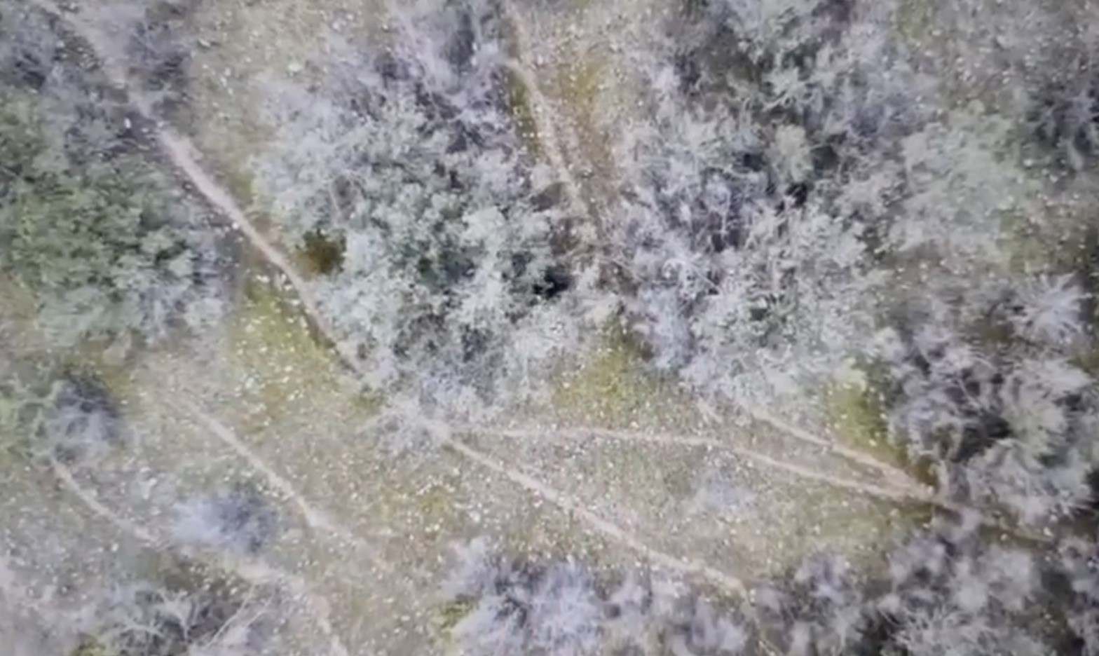 Kızılırmak Nehri'nde Elektrikle Avlanan Şahıslar Yakayı Ele Verdi 2