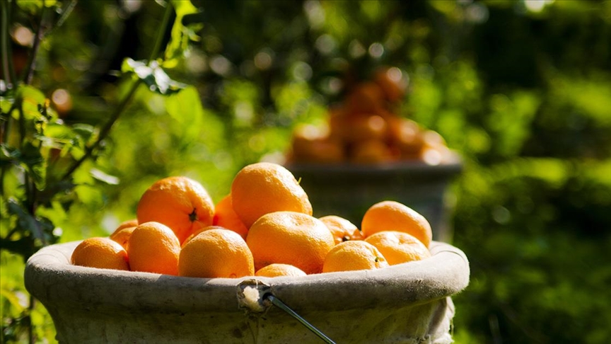 Thumbs B C 4A7C8947D93A3039247Cab6D9374B92E