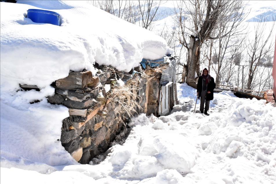 Thumbs B2 85Cf8Eb6701Be481D77A0Ad03732Da17