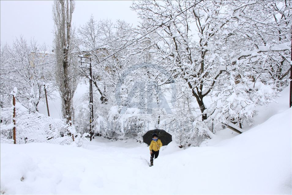 Thumbs B2 8A9E37C96Bea75F98D9F877437Df7135