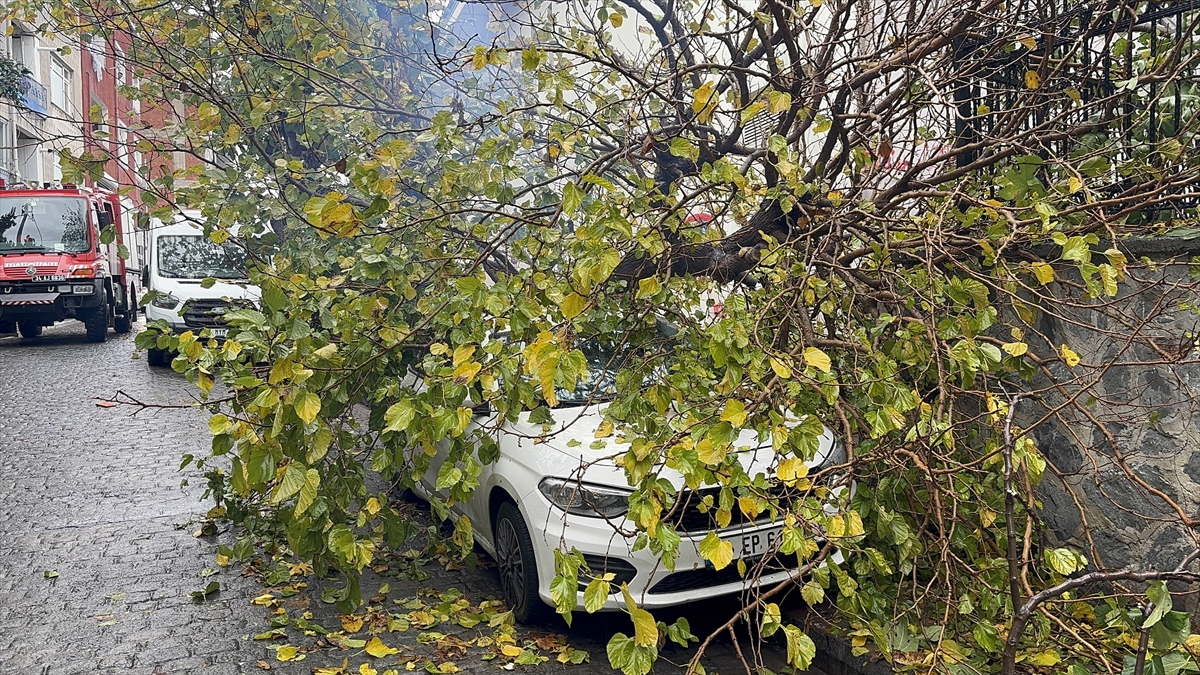 A A 20251207 39912293 39912292 B E Y O G L U N D A P A R K H A L I N D E K I A R A C I N U Z E R I N E A G A C D E V R I L D I