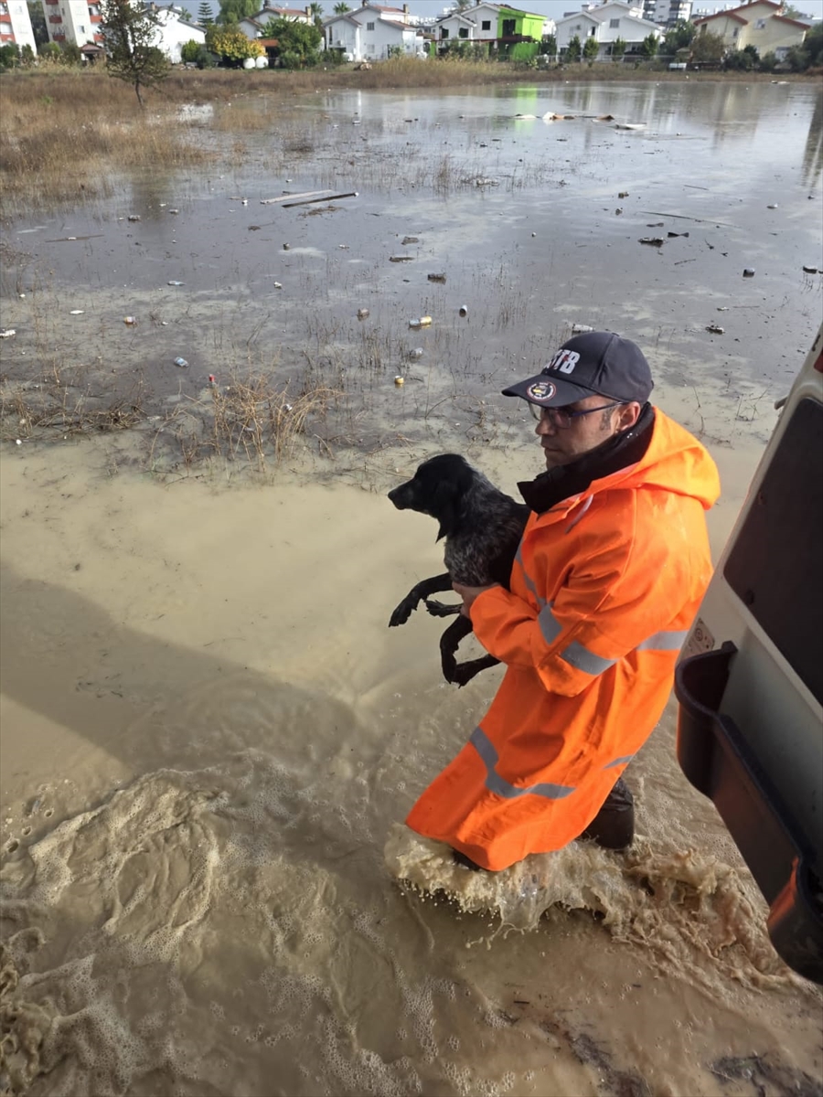 A A 20251209 39931810 39931804 K K T C D E S I D D E T L I Y A G I S L A R H A Y A T I O L U M S U Z E T K I L E D I