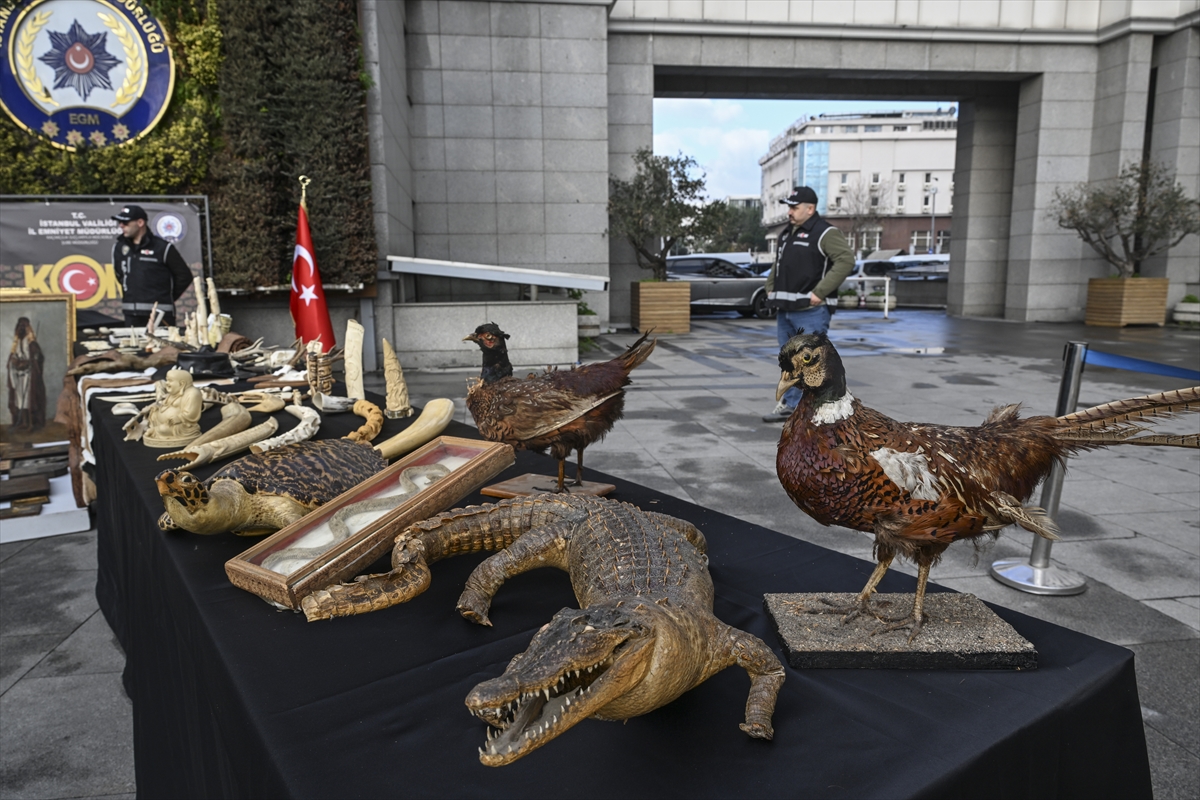 A A 20251211 39952405 39952399 I S T A N B U L D A K I T A R I H I E S E R K A C A K C I L I G I O P E R A S Y O N U N D A 15 Z A N L I Y A K A L A N D I