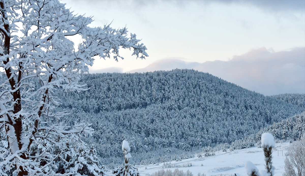 A A 20251214 39975684 39975679 K A R S T A E T K I L I O L A N K A R Y A G I S I S A R I C A M O R M A N L A R I N I B E Y A Z A B U R U D U