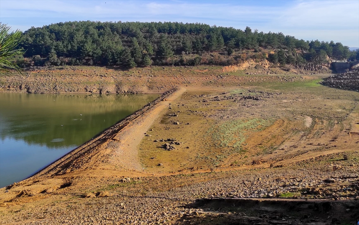 A A 20251219 40021101 40021099 E D I R N E D E K A D I K O Y B A R A J I N D A K I S U S E V I Y E S I O L U H A C M E D U S T U K E S A N A S U A L I M I D U R D U R U L D U