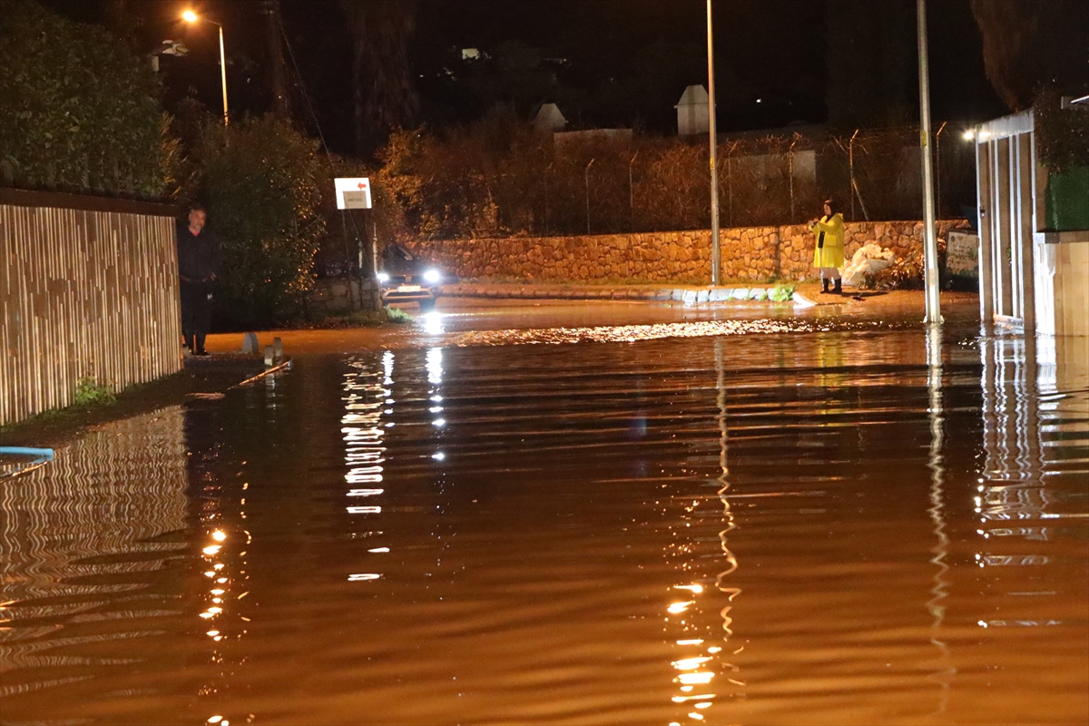 A A 20251225 40070347 40070338 B O D R U M D A K U V V E T L I S A G A N A K V E D O L U E T K I L I O L D U