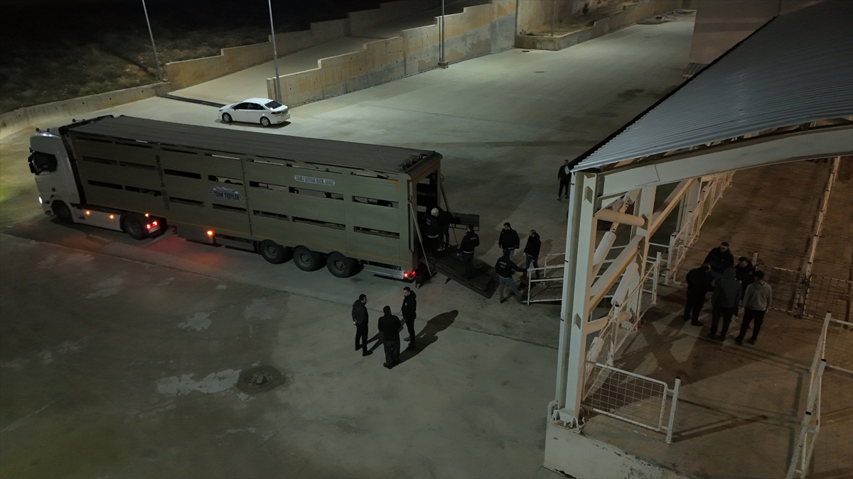 A A 20251225 40070613 40070608 S I I R T T E H A Y V A N L A R I N K A R I N B O S L U K L A R I N A U Y U S T U R U C U G I Z L E Y E N 2 S U P H E L I G O Z A L T I N A A L I N D I