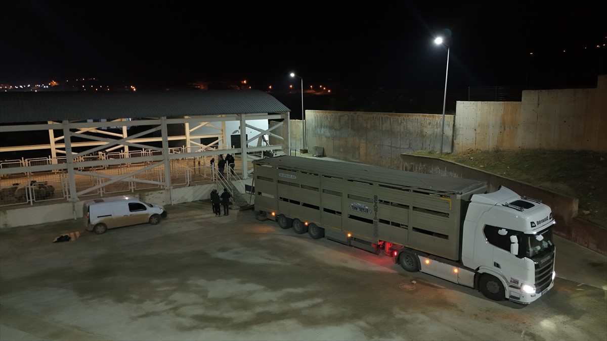 A A 20251225 40070613 40070609 S I I R T T E H A Y V A N L A R I N K A R I N B O S L U K L A R I N A U Y U S T U R U C U G I Z L E Y E N 2 S U P H E L I G O Z A L T I N A A L I N D I