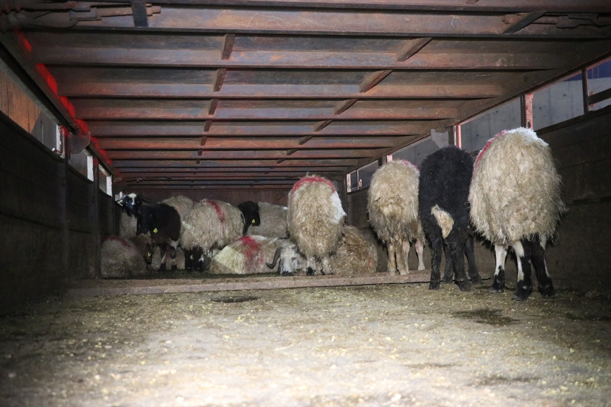 A A 20251225 40070613 40070610 S I I R T T E H A Y V A N L A R I N K A R I N B O S L U K L A R I N A U Y U S T U R U C U G I Z L E Y E N 2 S U P H E L I G O Z A L T I N A A L I N D I