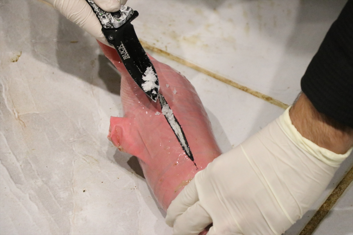 A A 20251225 40070613 40070612 S I I R T T E H A Y V A N L A R I N K A R I N B O S L U K L A R I N A U Y U S T U R U C U G I Z L E Y E N 2 S U P H E L I G O Z A L T I N A A L I N D I